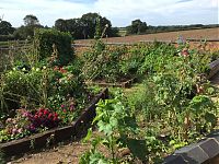 Out in the garden