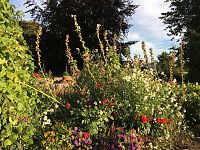 Gardens in full bloom