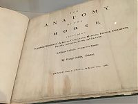 The Anatomy of the Horse